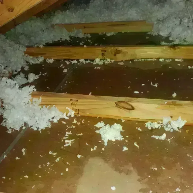 Attic Water Damage in Saint Paul, MO