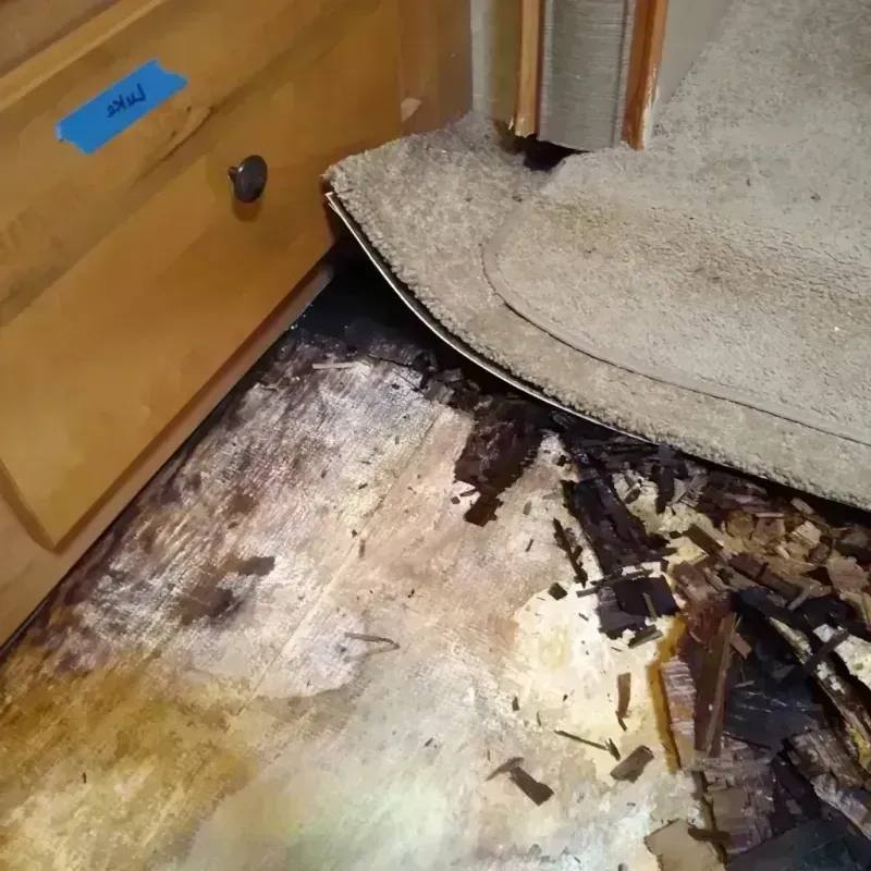 Wood Floor Water Damage in Saint Paul, MO